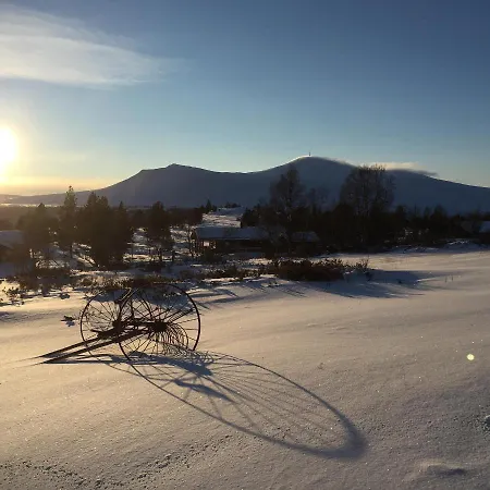 Trollvang, Med Pool Og Sauna Villa