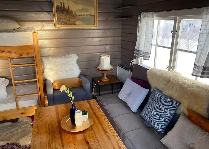 Trollvang, Med Pool Og Sauna Villaer Dovreskogen