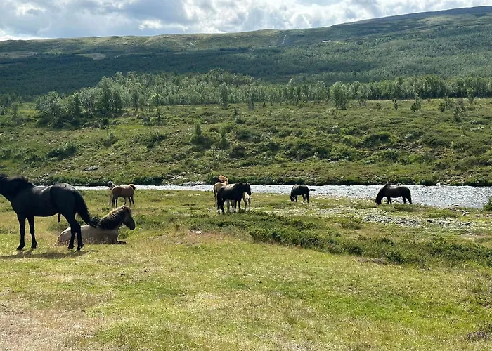 Trollvang, Med Pool Og Sauna * Dovreskogen